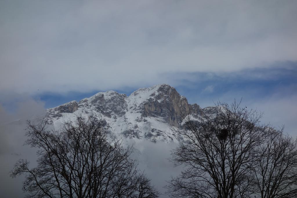 Fink-hof * Wildermieming